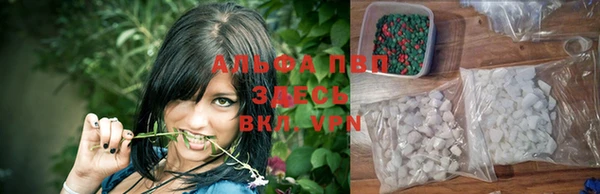 СК Абаза