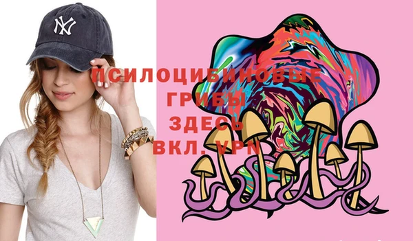 эйфоретик Инта